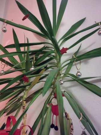 Geschmückter Baum Karibische Weihnachten